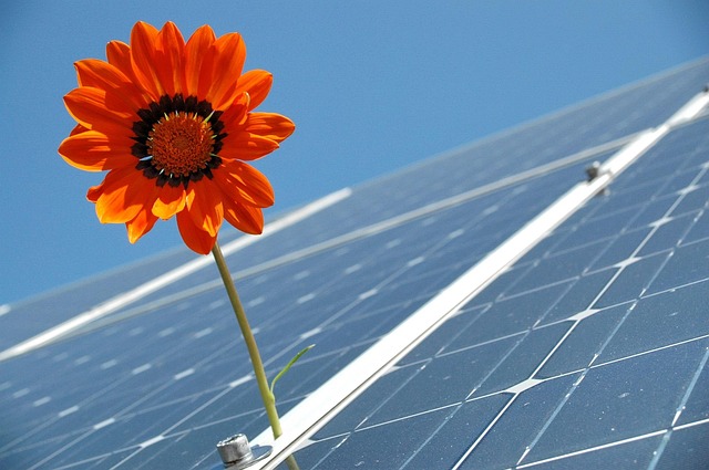 energia solară