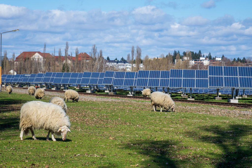 ferma fotovoltaică